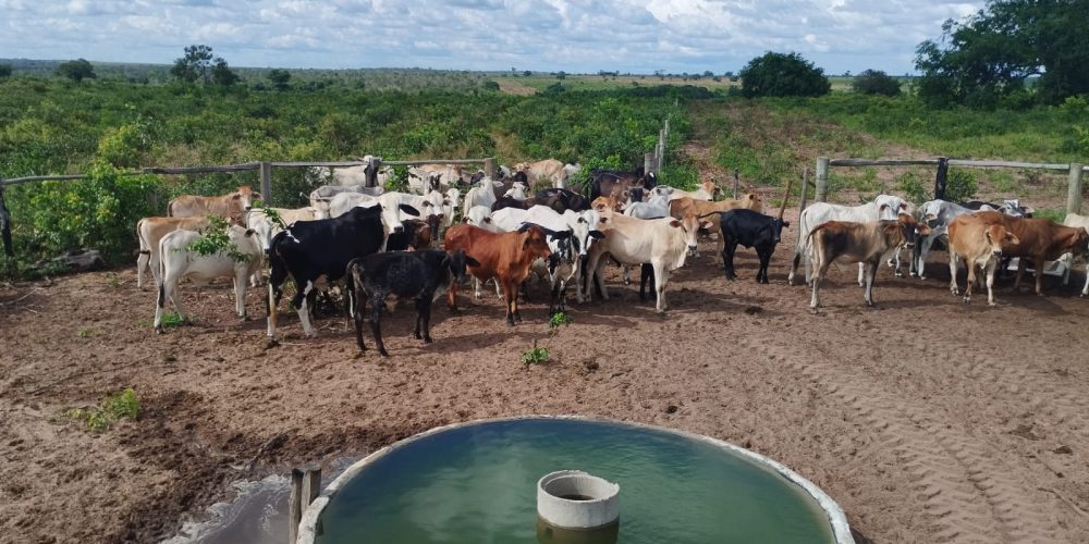 WhatsApp Image 2024-03-15 at 12.21.21 (3)