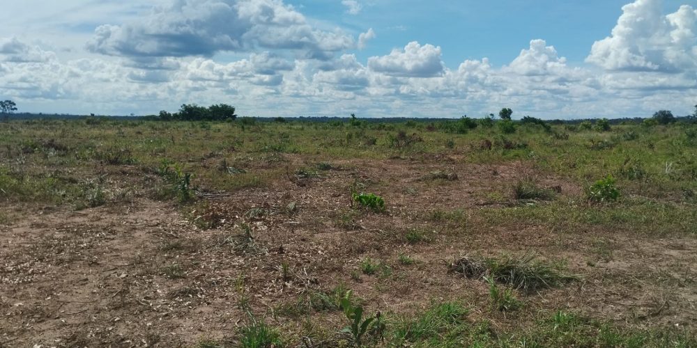 WhatsApp Image 2024-03-15 at 12.21.22 (1)