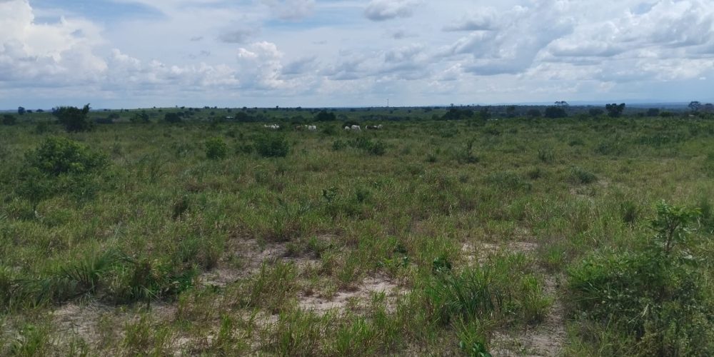 WhatsApp Image 2024-03-15 at 12.21.22 (2)