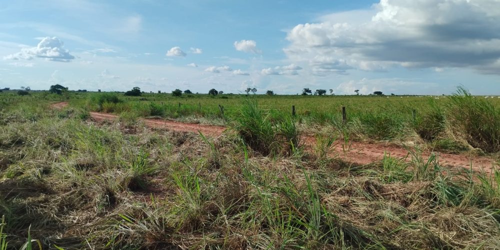 WhatsApp Image 2024-03-15 at 12.21.22 (3)