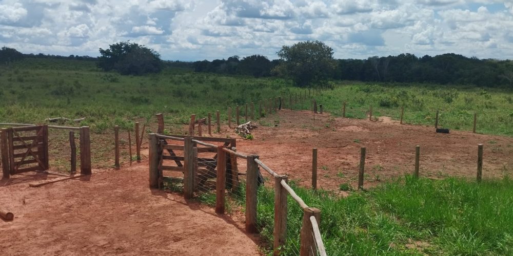 WhatsApp Image 2024-03-15 at 12.21.23 (2)