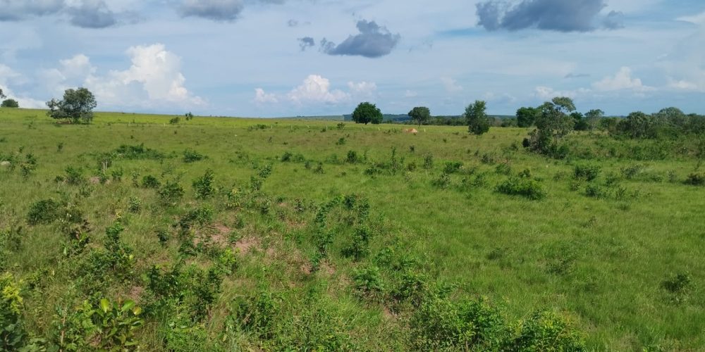 WhatsApp Image 2024-03-15 at 12.21.23 (3)