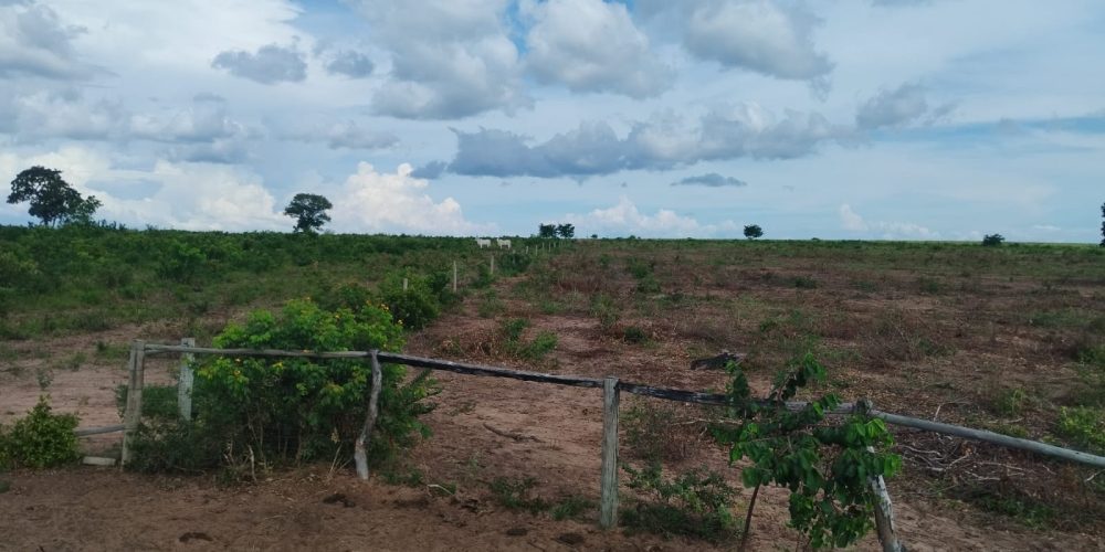 WhatsApp Image 2024-03-15 at 12.21.23 (5)