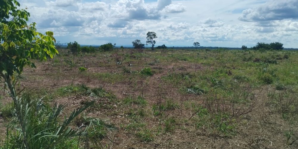 WhatsApp Image 2024-03-15 at 12.21.25