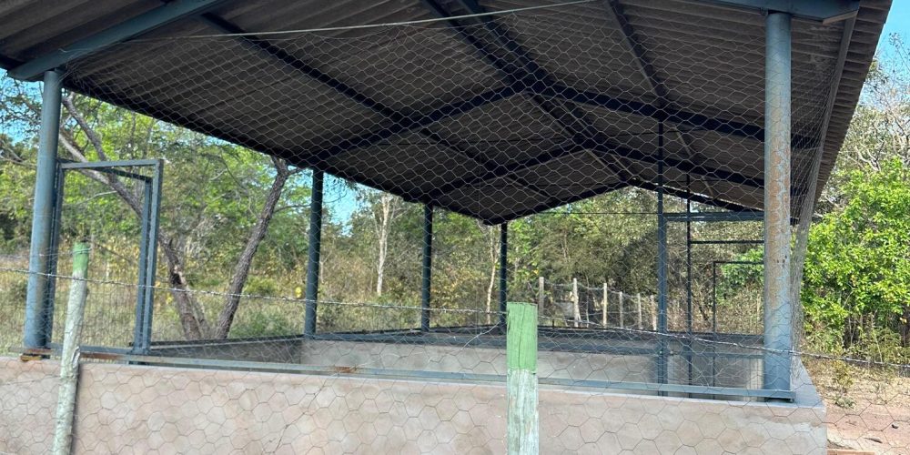 WhatsApp Image 2025-07-02 at 16.22.30