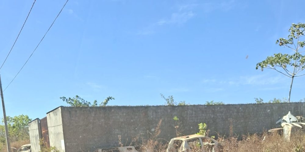 WhatsApp Image 2025-07-11 at 11.41.36