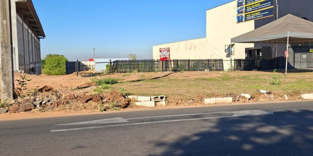 WhatsApp Image 2025-09-02 at 08.33.59